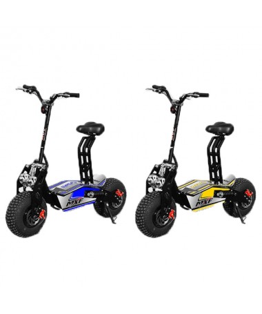 Monopattino Scooter elettrico cross C18 - 36V 500/1000/1200W